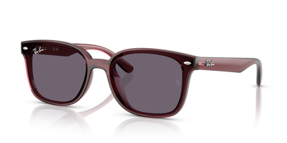 RAY-BAN RB4461D 659373 64