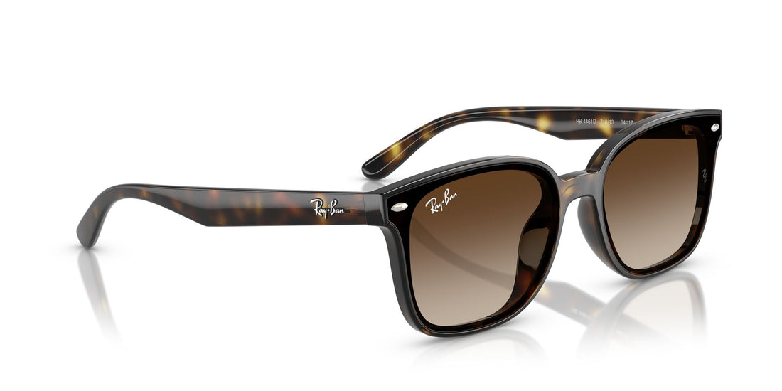 RAY-BAN RB4461D 710/13 64