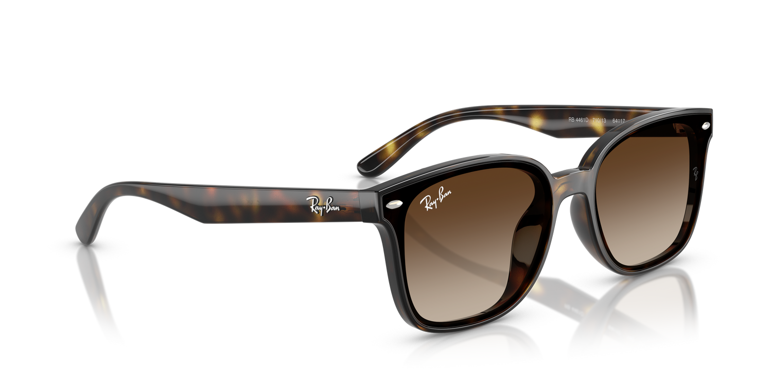 RAY-BAN RB4461D 710/13 64