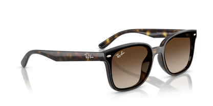 RAY-BAN RB4461D 710/13 64