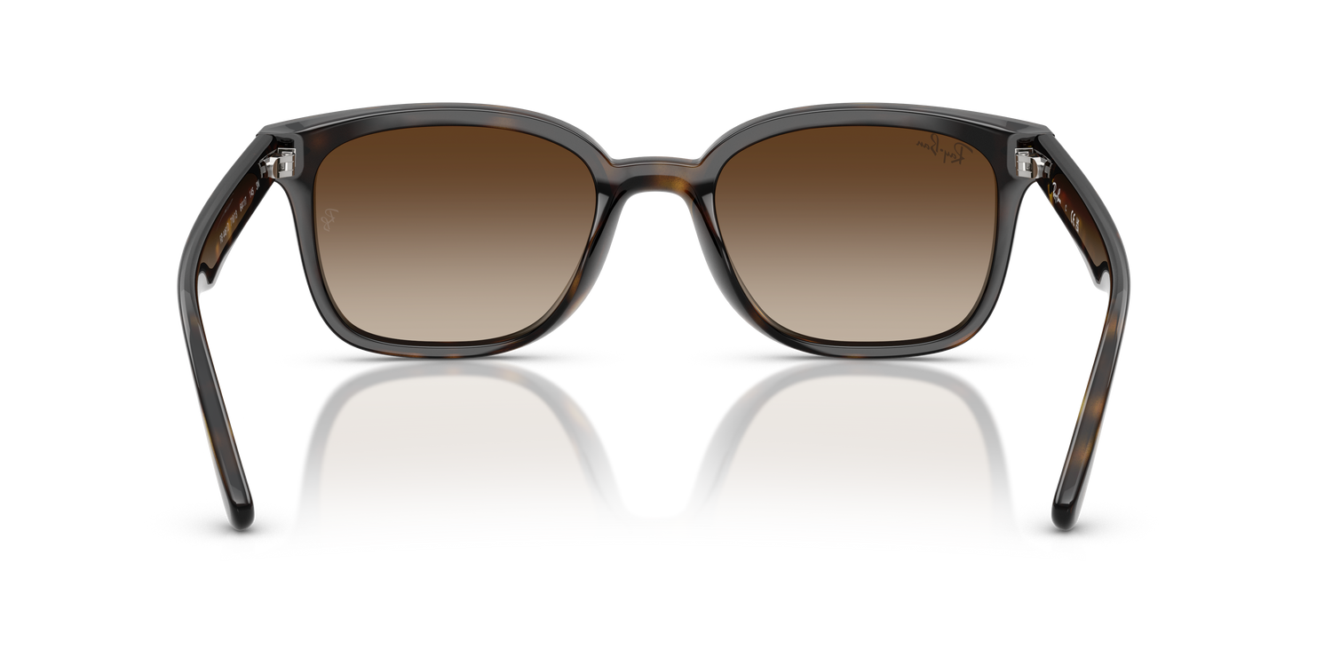 RAY-BAN RB4461D 710/13 64