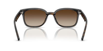 RAY-BAN RB4461D 710/13 64