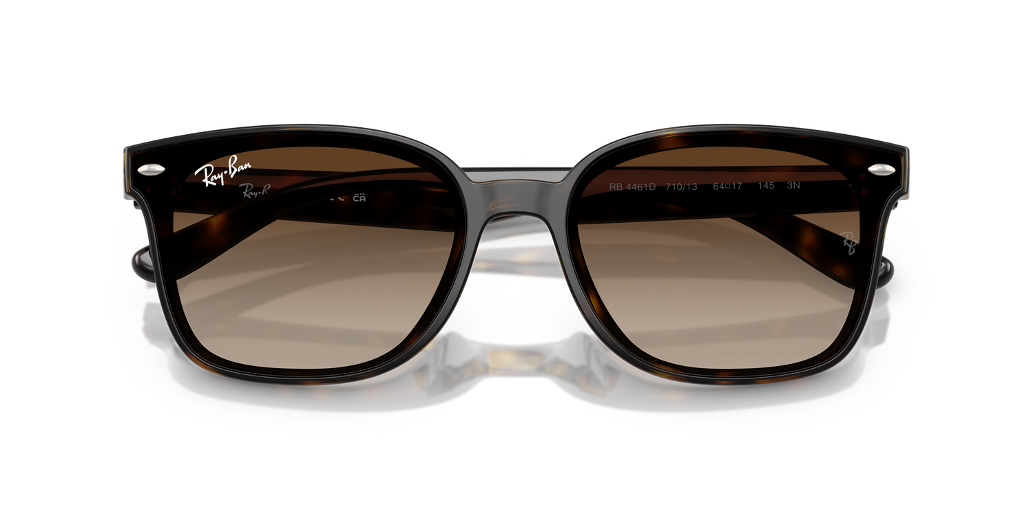 RAY-BAN RB4461D 710/13 64