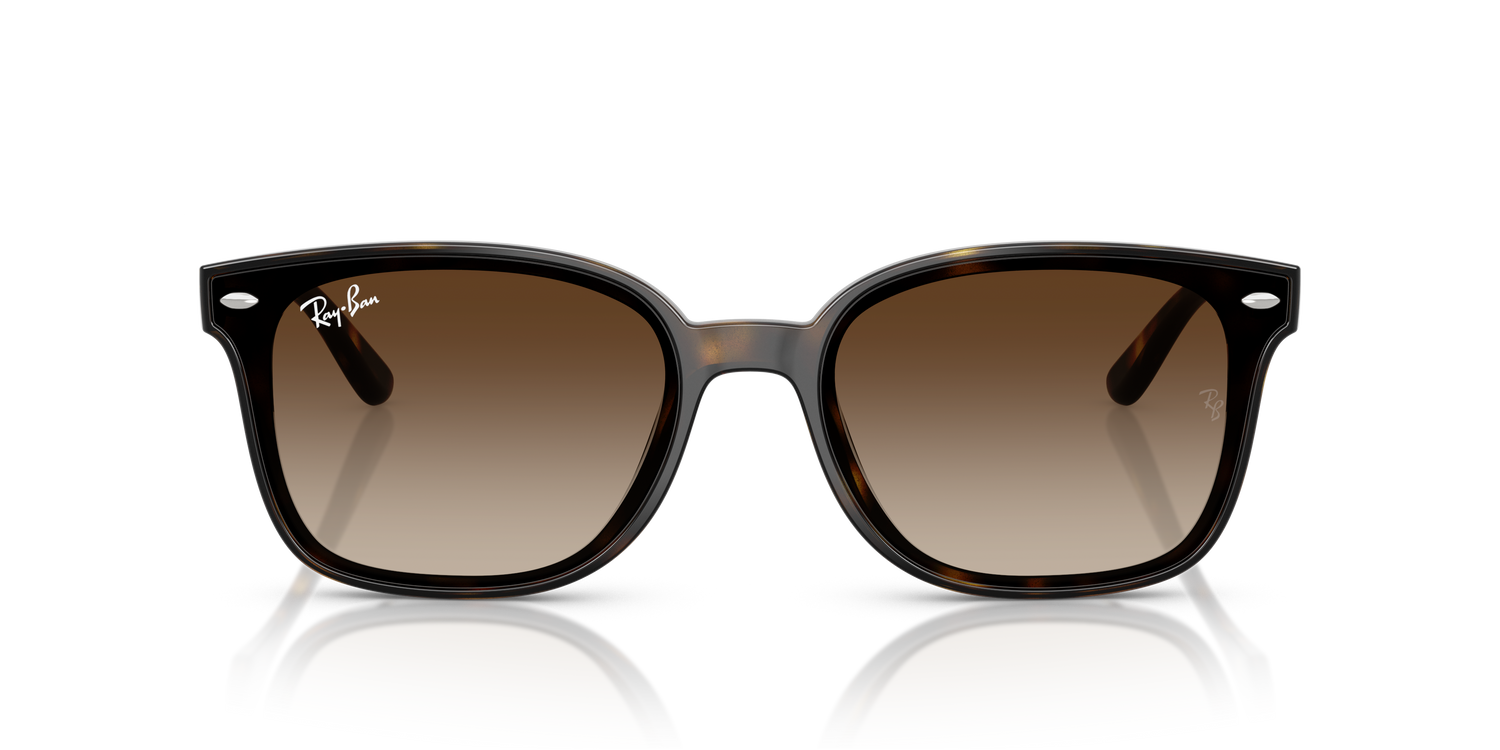 RAY-BAN RB4461D 710/13 64