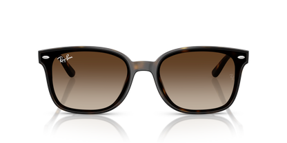 RAY-BAN RB4461D 710/13 64