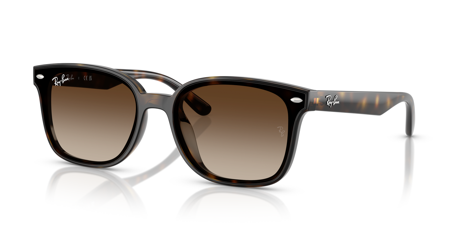 RAY-BAN RB4461D 710/13 64