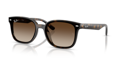 RAY-BAN RB4461D 710/13 64