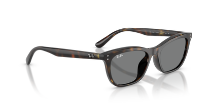RAY-BAN RB4474D 710/87 54