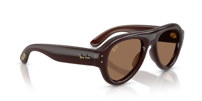 RAY-BAN RB4925 689673 52