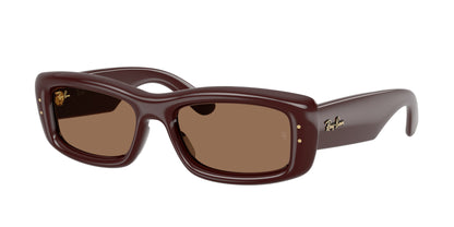 RAY-BAN RB4944 687773 55