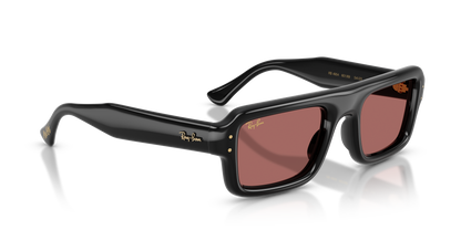 RAY-BAN RB4954 601/69 54