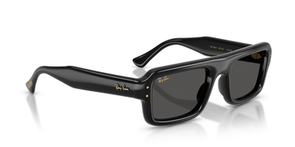 RAY-BAN RB4954 601/87 52
