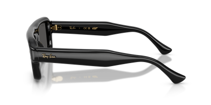 RAY-BAN RB4954 601/87 52