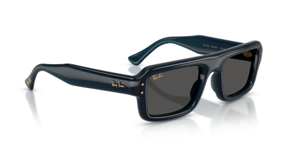 RAY-BAN RB4954 689587 54