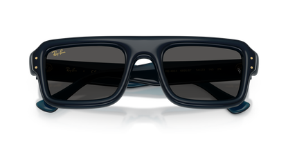 RAY-BAN RB4954 689587 54