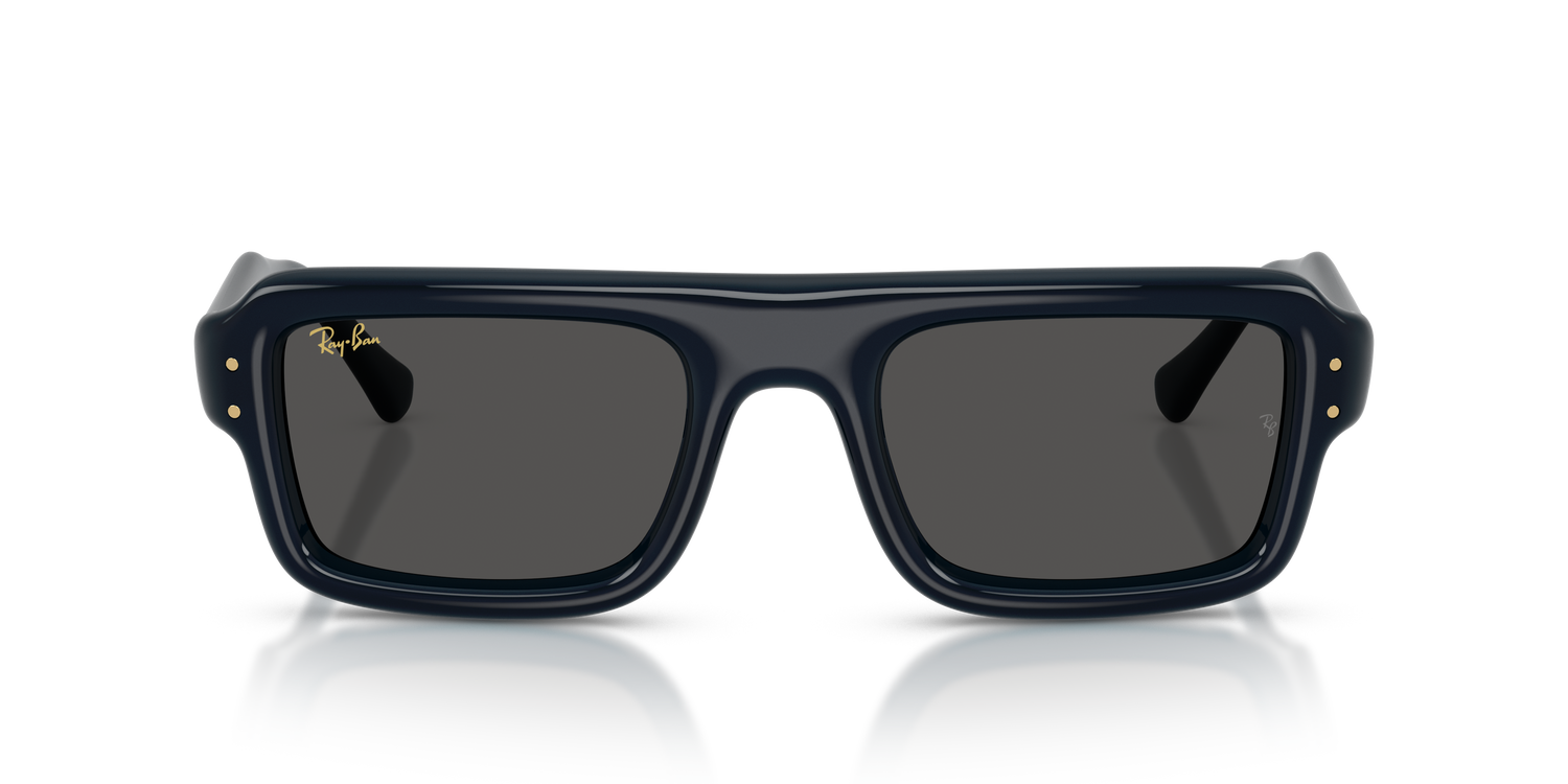 RAY-BAN RB4954 689587 54