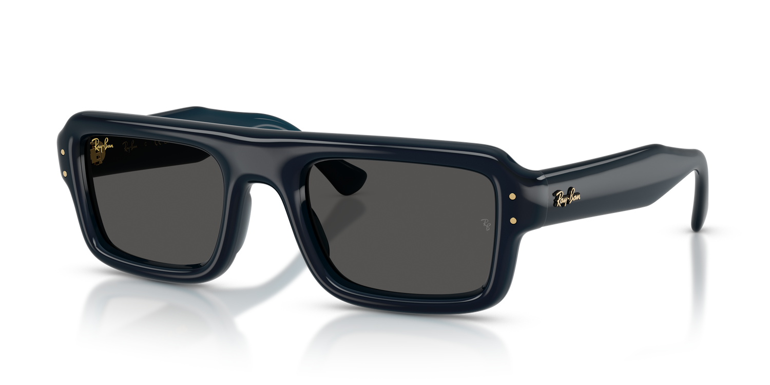 RAY-BAN RB4954 689587 54