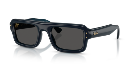 RAY-BAN RB4954 689587 52