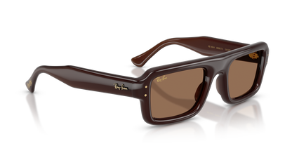 RAY-BAN RB4954 689673 52