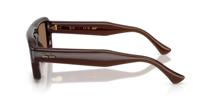 RAY-BAN RB4954 689673 52