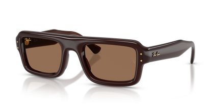 RAY-BAN RB4954 689673 54