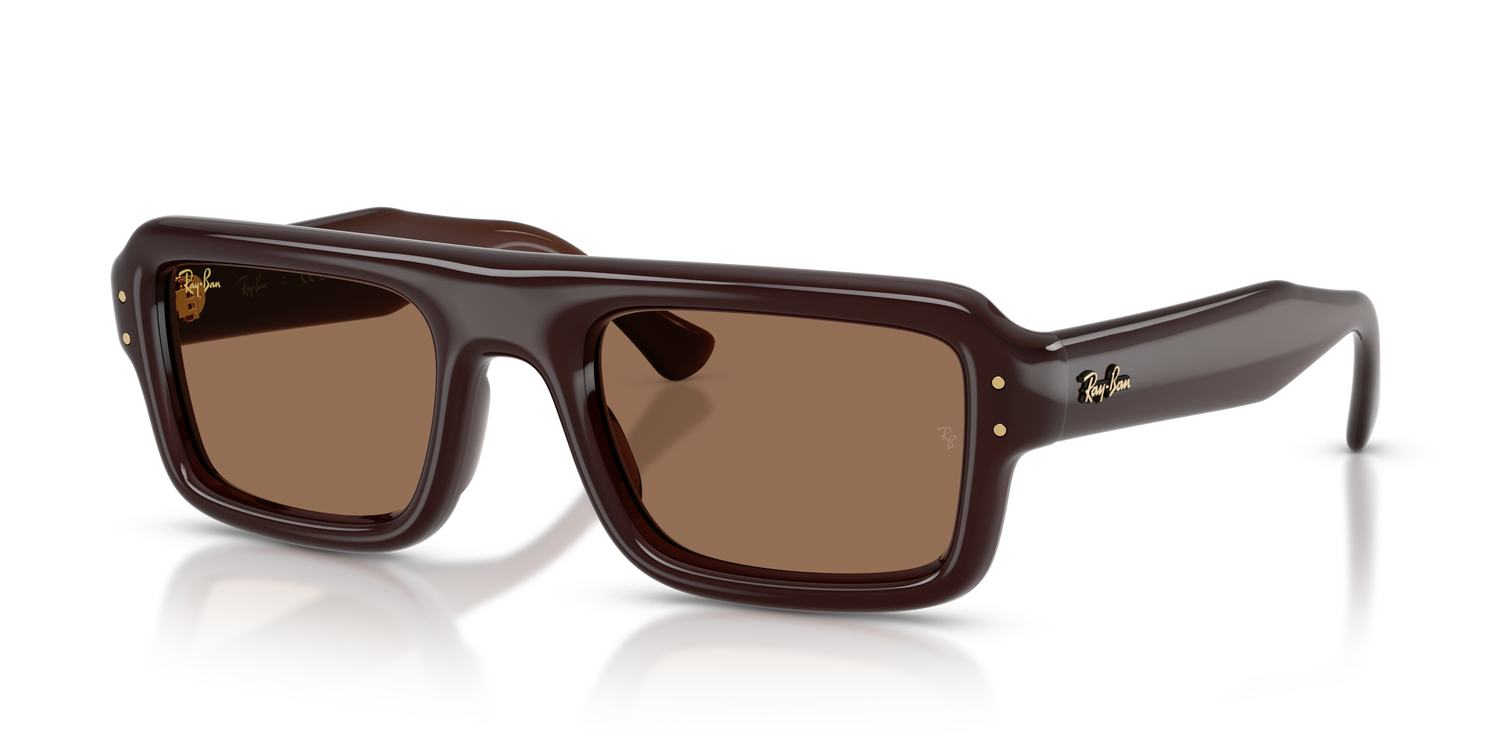 RAY-BAN RB4954 689673 52