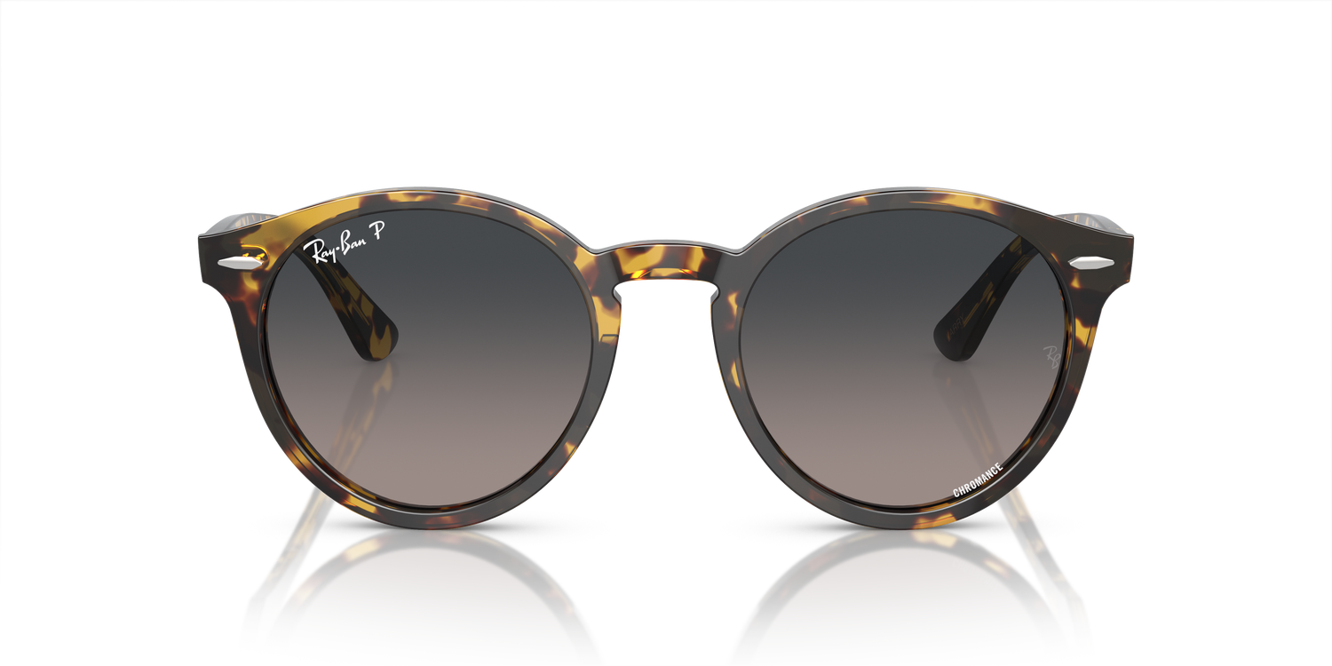 RAY-BAN RB7680S LARRY 1332GL 49 - 4