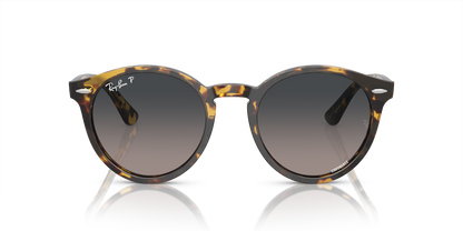 RAY-BAN RB7680S LARRY 1332GL 51