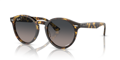 RAY-BAN RB7680S LARRY 1332GL 51