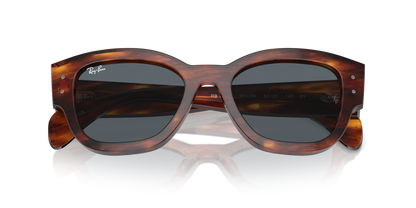RAY-BAN RB7681S JORGE 954/R5 52