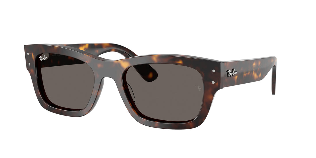 RAY-BAN RB7683S JOSEPH 902/B1 55