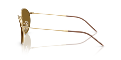 RAY-BAN RBR0103S ROUND REVERSE 001/83 55
