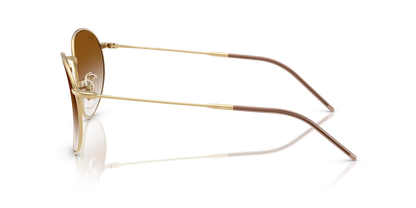 RAY-BAN RBR0103S ROUND REVERSE 001/CB 53