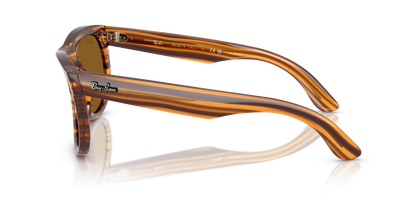 RAY-BAN RBR0502S WAYFARER REVERSE 679183 53