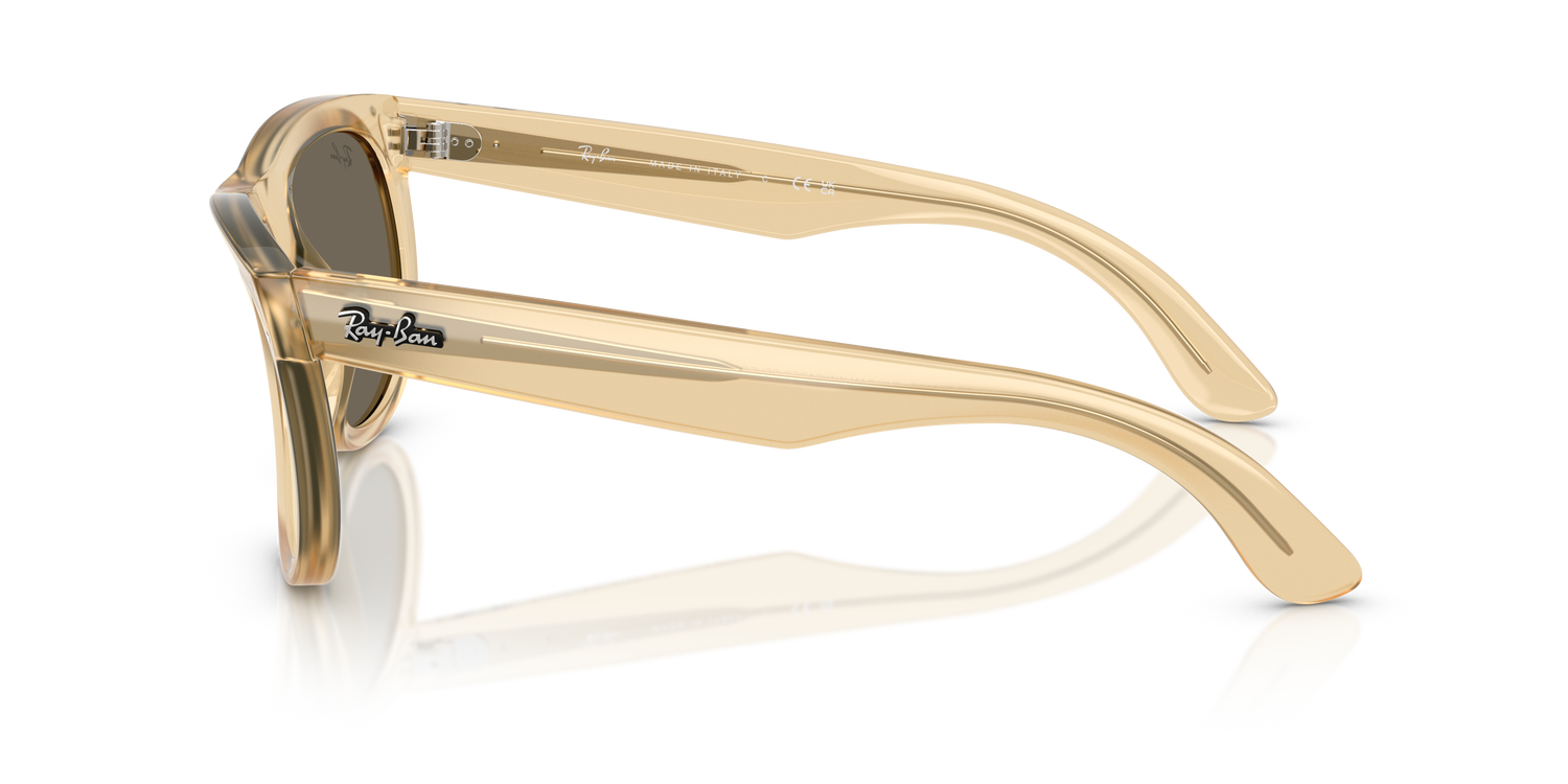 RAY-BAN RBR0502S WAYFARER REVERSE 68215A 50