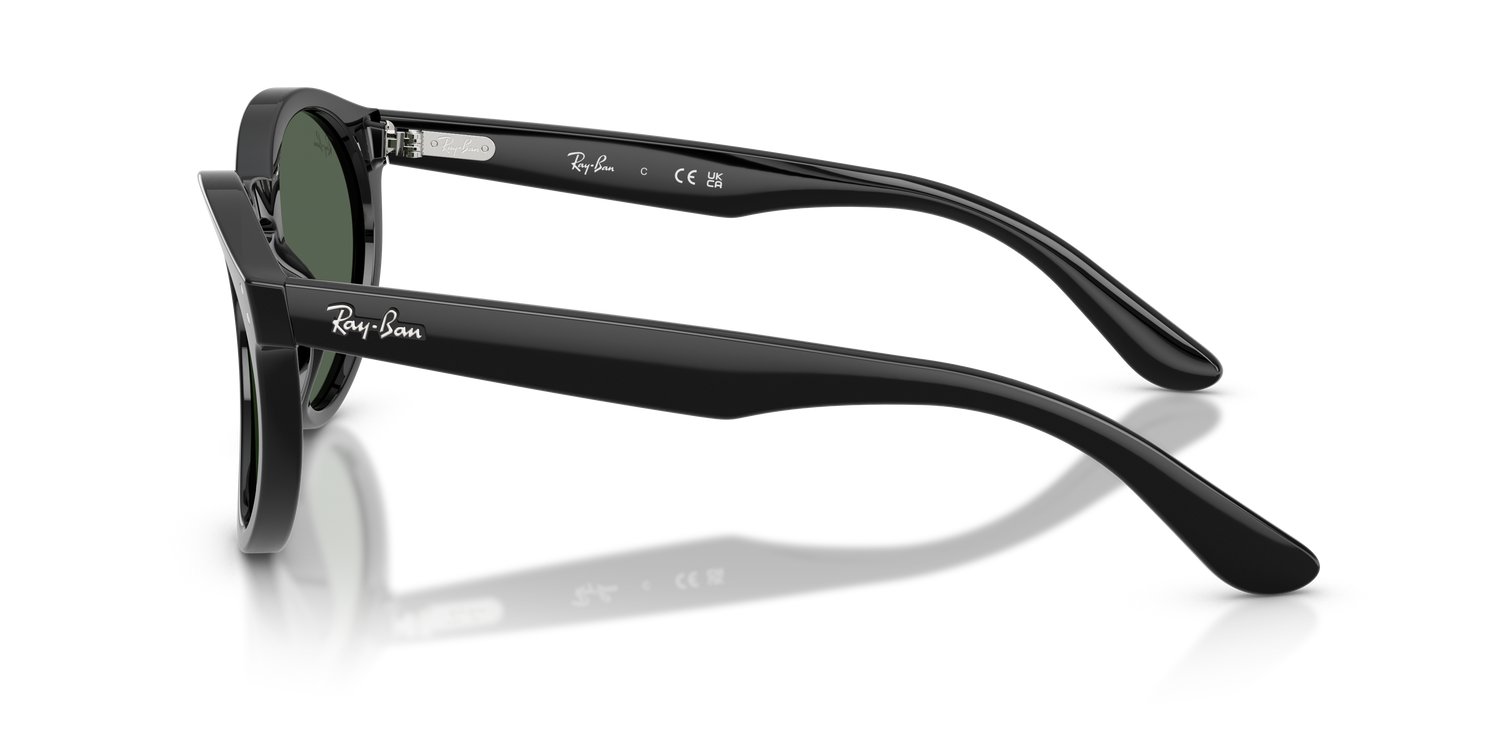 RAY-BAN RBR0505S 6677VR 52