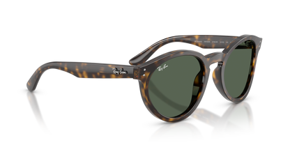 RAY-BAN RBR0505S 6790VR 52