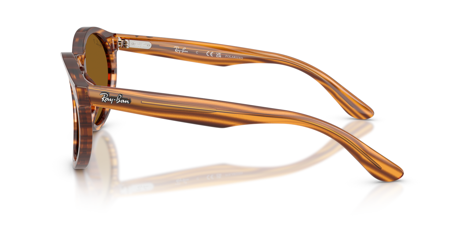 RAY-BAN RBR0505S 679183 52