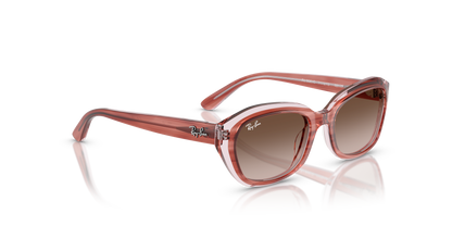 RAY-BAN JUNIOR RJ9081S 717313 48