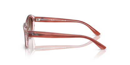 RAY-BAN JUNIOR RJ9081S 717313 48