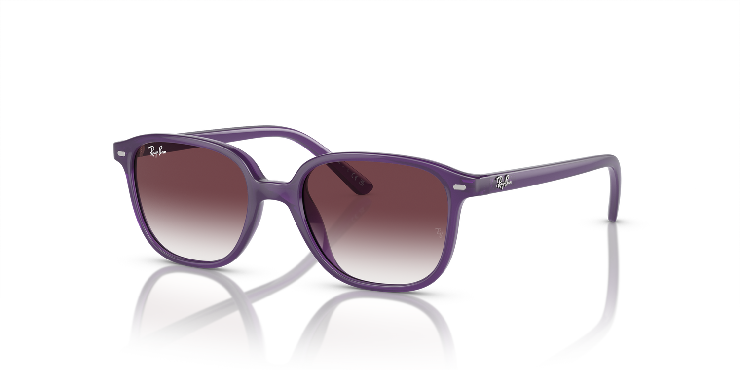 RAY-BAN JUNIOR RJ9093S JUNIOR LEONARD 713136 45