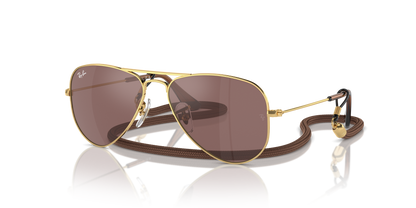 RAY-BAN JUNIOR RJ9506S JUNIOR AVIATOR 223/6G 52