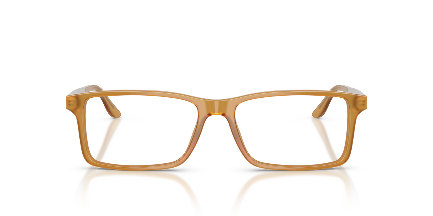 RALPH LAUREN RL6128 5275 53