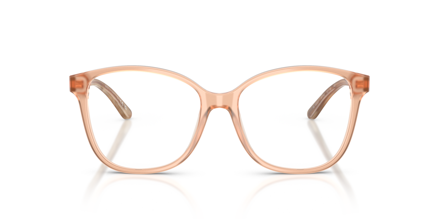 RALPH LAUREN RL6222 6110 52