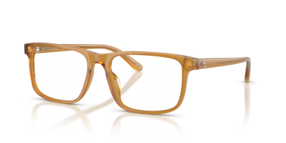 RALPH LAUREN RL6225U 5275 54