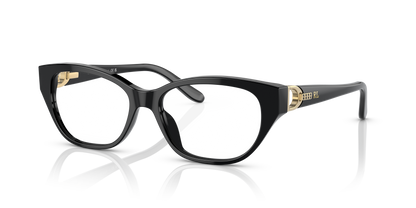 RALPH LAUREN RL6227U 5001 54