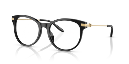 RALPH LAUREN RL6231U 5001 51