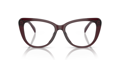 RALPH LAUREN RL6232U 6052 54