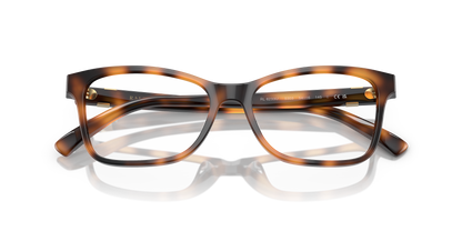 RALPH LAUREN RL6233U 5303 54