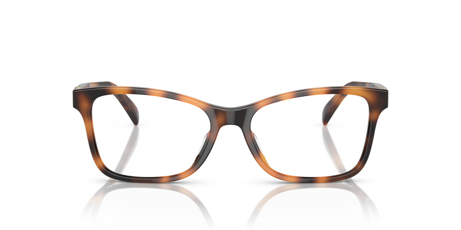 RALPH LAUREN RL6233U 5303 54